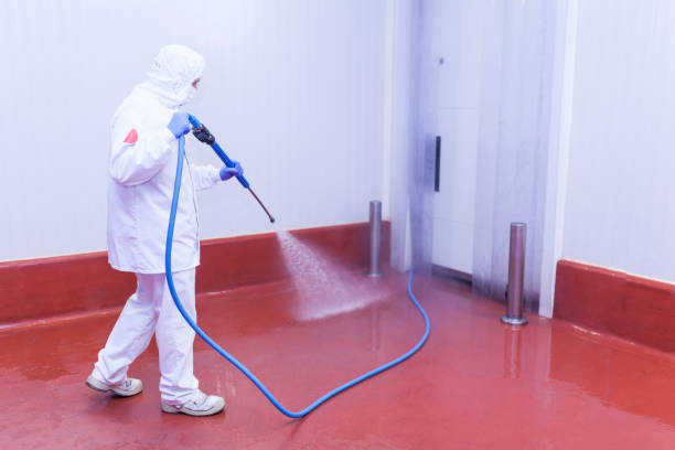 Paint Preparation in Sykesville, MD